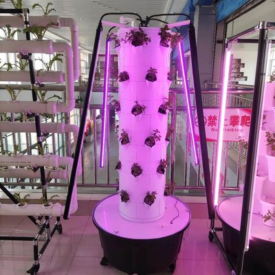 LED 를 가진 채소 와 딸기 를 위한 새로운 수직 수식 재배 시스템
