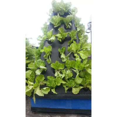 농업 온실 채소 재배를 위한 수직 에어로폰닉 시스템