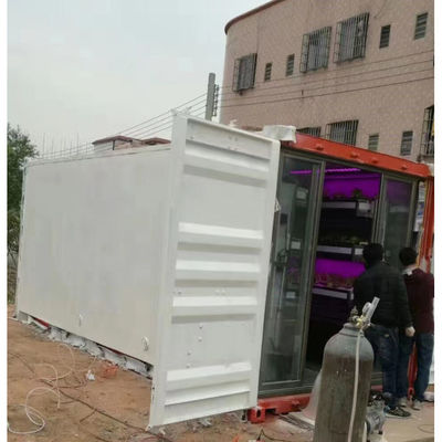 컨테이너 농장 수식 재배 시스템