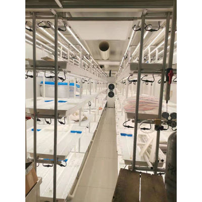 스마트 성장 수식 수직 농업 시스템 운송 컨테이너 농장 온실