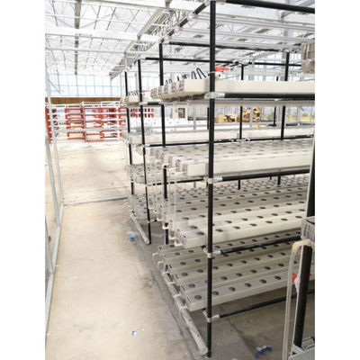 수직 농장 플랜트 NFT 수식 스마트 정원 흰색 110V/220VAC