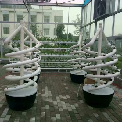 식물 이중 나선 수식 회전 농업 나선 NFT 수식 시스템