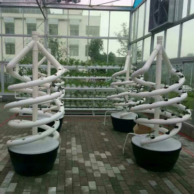 식물 이중 나선 수식 회전 농업 나선 NFT 수식 시스템