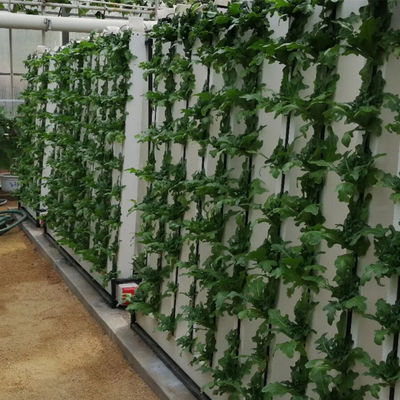 칩그로우 수식실 정원 플랜트 LED 조명으로 수식 시스템
