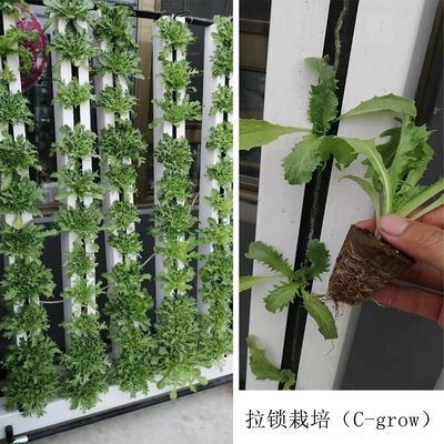 칩그로우 수식실 정원 플랜트 LED 조명으로 수식 시스템