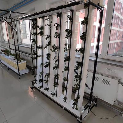 상업용 수식 Nft 딸기 및 꽃 수직 성장 시스템 Zipgrow 타워