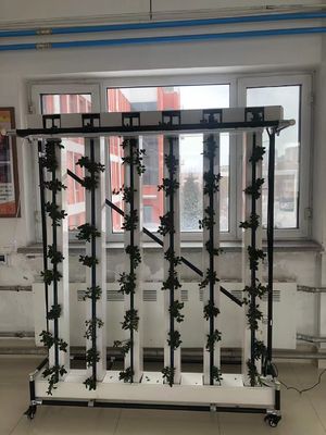 상업용 수식 Nft 딸기 및 꽃 수직 성장 시스템 Zipgrow 타워