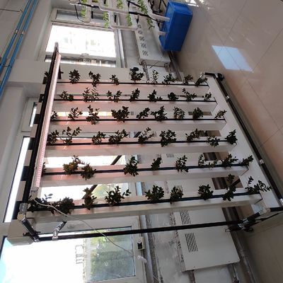 상업용 수식 Nft 딸기 및 꽃 수직 성장 시스템 Zipgrow 타워